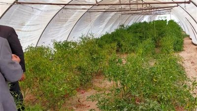 زراعة المنوفية: الموافقة على ترخيص 