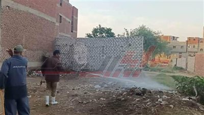 رش وتطهير مدينة بيلا لمكافحة البعوض في كفر الشيخ
