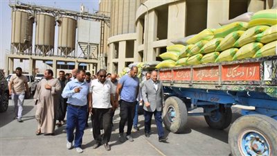 محافظ أسيوط: انتظام توريد الأقماح واستقبال 102 ألف طن بالشون والصوامع