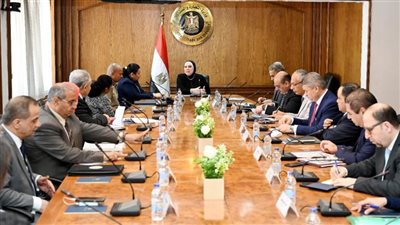 نيفين جامع: الحكومة تسعى لإنشاء منظومة موحدة لتصنيع الأطراف الصناعية 