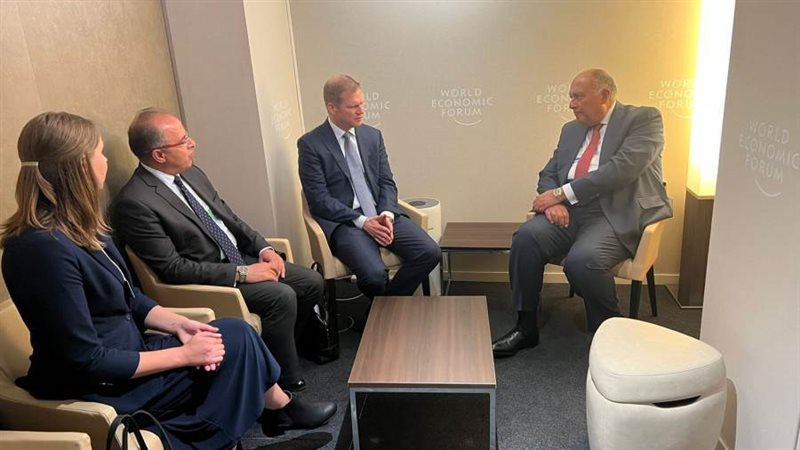 شكري مع الرئيس التنفيذي