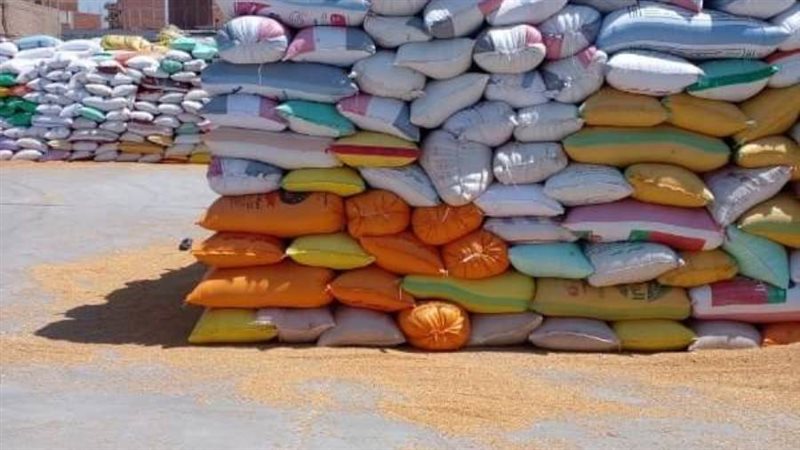 توريد القمح للصوامع