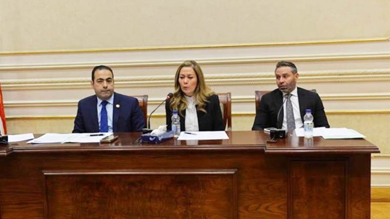 لجنة الشباب والرياضة