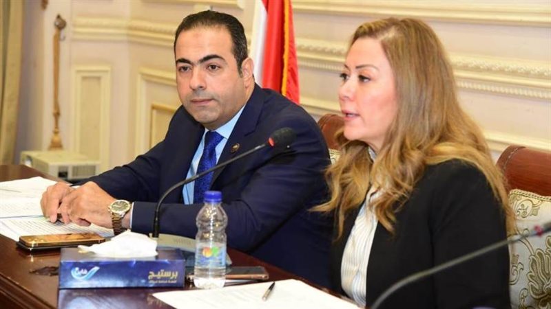 لجنة الشباب والرياضة