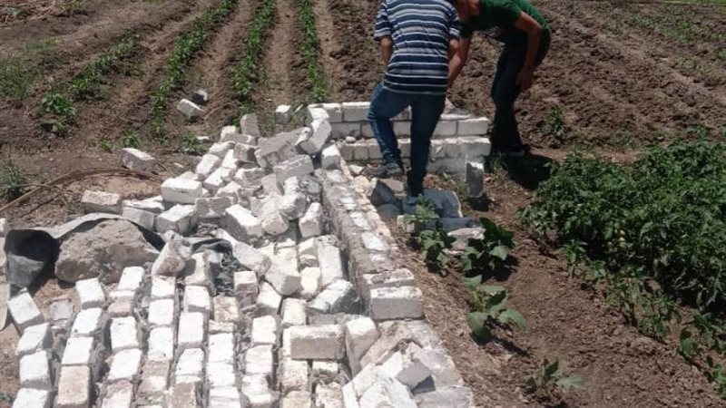 إزالة 10 حالات تعد