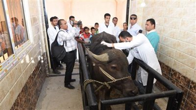 رئيس جامعة سوهاج يتفقد فعاليات القافلة البيطرية المجانية لقرية الصوامعة 