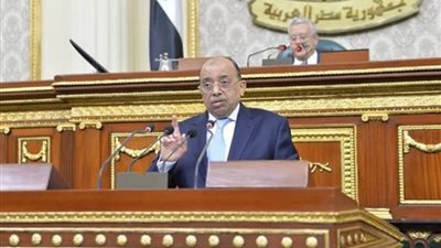 شعراوي لـ النواب: توجيهات من القيادة السياسية بعدم تحصيل رسوم جديدة عن النظافة