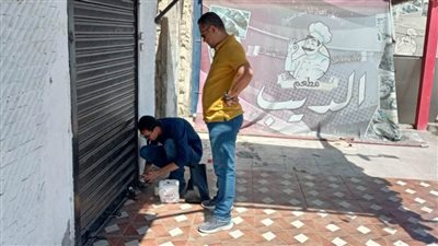 تشميع ١٠ محال وتسجيل ١٠ مخالفات أخرى في نطاق حي ثالث الإسماعيلية