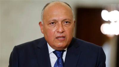 شكري: مصر مهتمة بالتوصل لاتفاق ملزم بشأن عملية ملء وتشغيل سد النهضة
