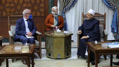 الإمام الأكبر: حريصون على التعريف بقضايا اللاجئين والمهاجرين وتوفير الدعم اللازم لهم