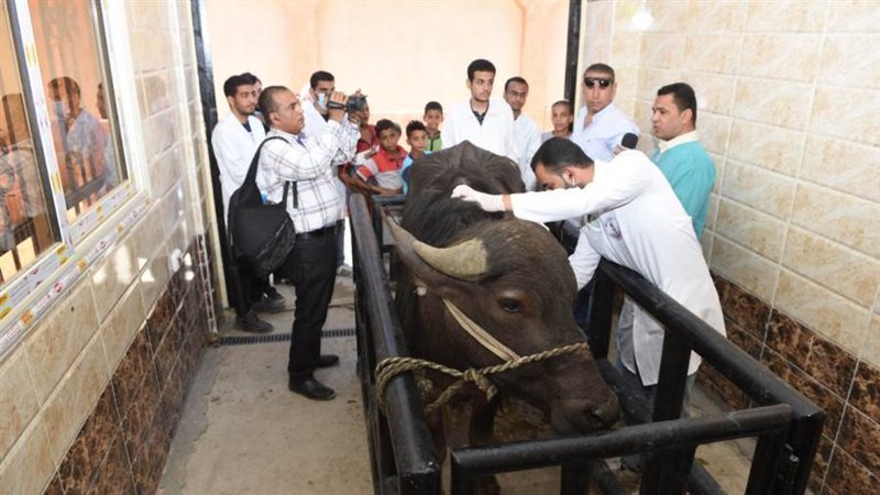 جانب من التفقد