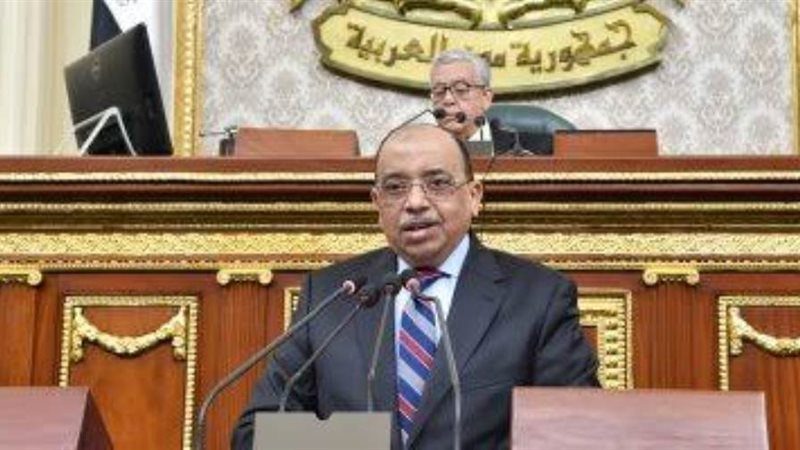 وزير التنمية المحلية