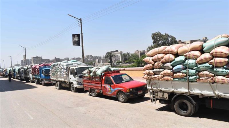 توريد القمح