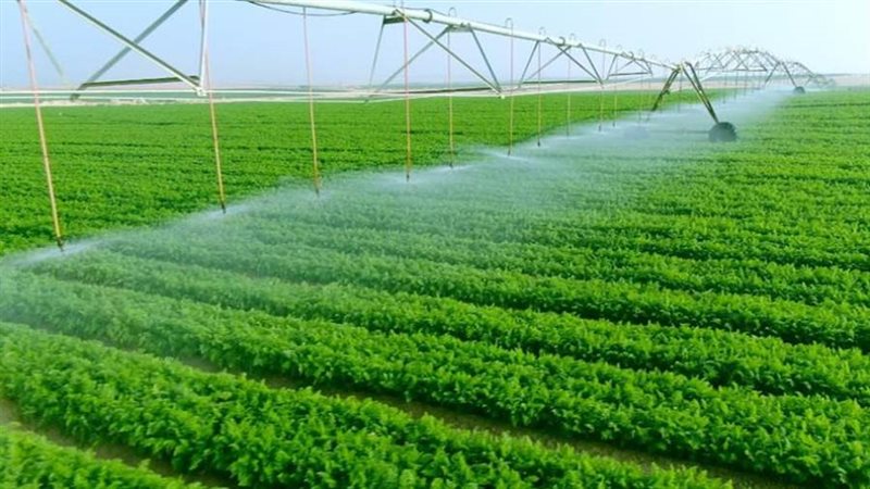 مشروع الدلتا الجديدة