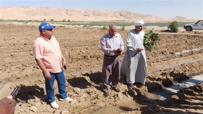 نجاح تجربة الخبز بدقيق القمح والبطاطا وزراعة 10 أفدنة بطاطا بشتلات مجانية 