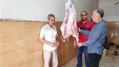 ضبط 140 كيلو لحوم مذبوحة خارج السلخانة بالدقهلية