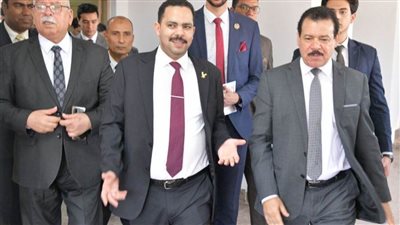 أشرف رشاد: المشروعات القومية أعادت العافية لاقتصادنا الوطني