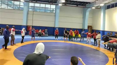 الاتحاد الدولي للسامبو يختار القاهرة لاستضافة دورة للمدربين والحكام من 12 دولة