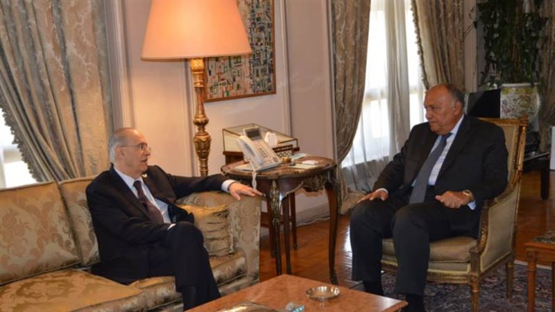 وزير الخارجية ونظيره