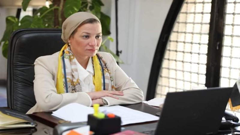 الدكتورة ياسمين فؤاد