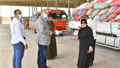 محافظ أسيوط يعلن توريد 134 ألف طن من محصول القمح المحلي
