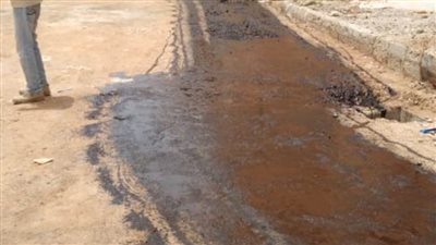 محافظ الإسكندرية: إنهاء 65% من خطة رصف الطرق بنطاق حي منتزه ثان