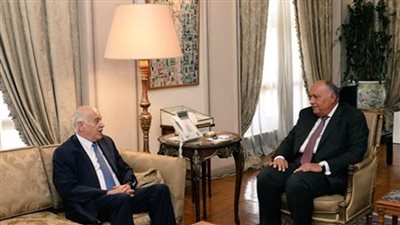 شكري يبحث مع أمين سر حركة  