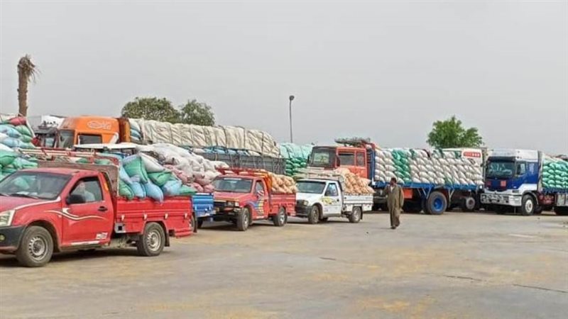 توريد القمح ببنى