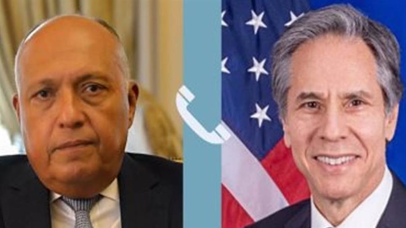 شكرى وبلينكين