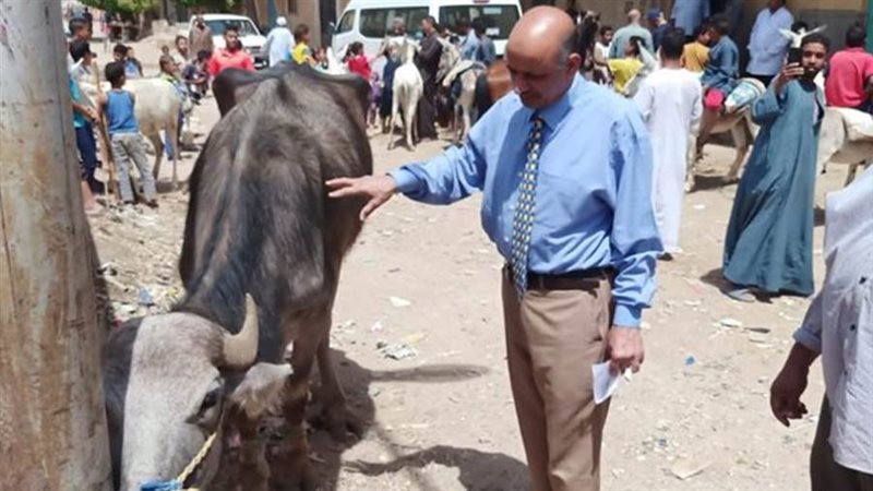 قوافل بيطرية