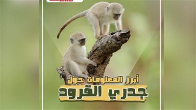 انفوجراف..ما هو جدري القرود؟