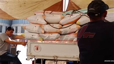 انتظام صرف مستحقات المزارعين والموردين للقمح بكفر الشيخ