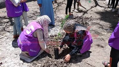 تنظيم لقاءات توعوية عن زراعة الأشجار بكفر الشيخ