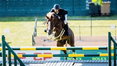 نايل نصار يتوج بفضية الجائزة الكبرى للفروسية