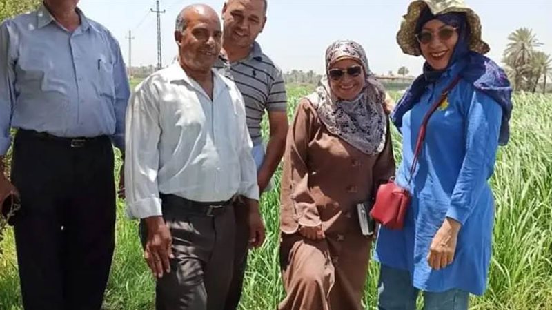 بوابة روز اليوسف