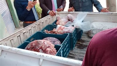 المنوفية: ضبط لحوم غير صالحة للاستهلاك الآدمي بـ”قويسنا“