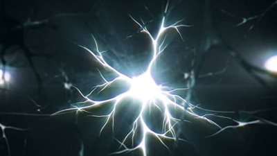  بالفيديو.. علماء ينجحون في تصوير لحظة الموت في المخ