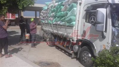 توريد 218469 طنًا و258  قمحًا لشون وصوامع كفر الشيخ
