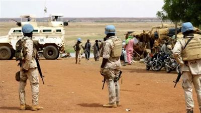 مصر تدين الاعتداء على قوات حفظ السلام بمالي.. وتعزي الأردن