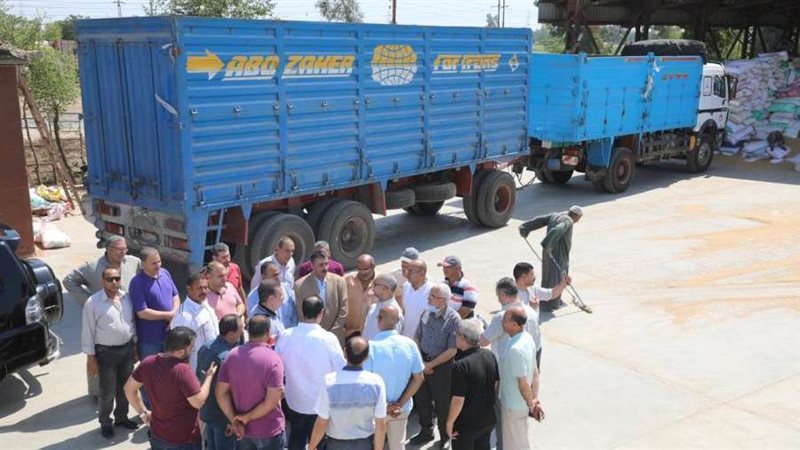 توريد القمح بالمنوفية