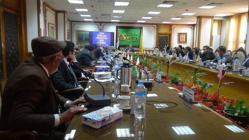 مجلس جامعة المنيا