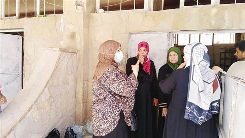 بوابة روز اليوسف