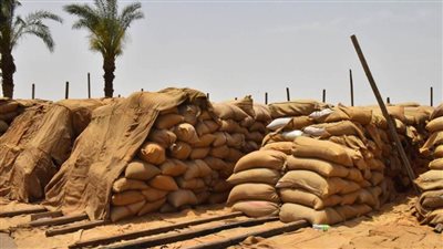 محافظ أسيوط 149 ألف طن قمح محلي تم توريدها للشون والصوامع بالمراكز حتى الآن