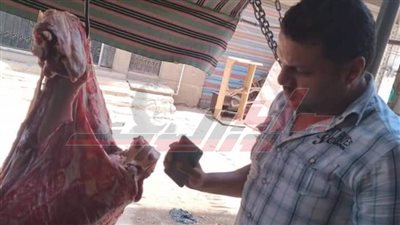 حملة مكبرة للرقابة على الأسواق بمدينة بيلا بكفر الشيخ