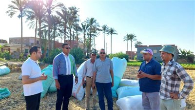 محافظ البحيرة: التعامل بكل حسم مع الممتنعين عن توريد القمح