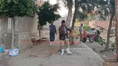 حملات مكبرة للقضاء على الباعوض بكفر الشيخ