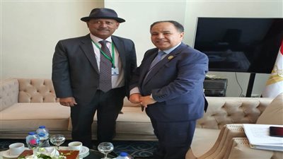 وزير المالية: منصات مشتركة لشراء السلع وصناديق تحوط لحماية الاقتصادات الأفريقية من الأزمات العالمية 