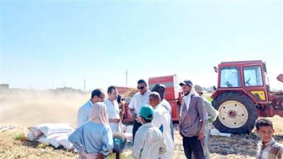 تحرير ١١٦ محضرا تموينيا لعدم توريد ٥٢٥ طن قمح للشون والصوامع بالبحيرة