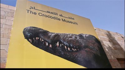 متاحف مصرية| كل ما تريد معرفته عن متحف التمساح.. مواعيد الزيارة وأسعار التذاكر