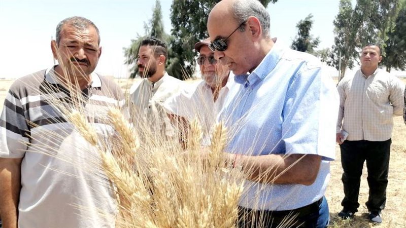 رئيس جامعة المنيا